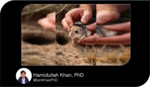 Create Viral AI Videos for FREE Using Grok