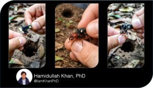 Inside an Ant Colony Using AI Micro-Camera Prompts